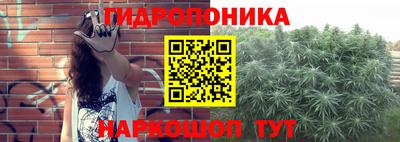 сатива Ливны