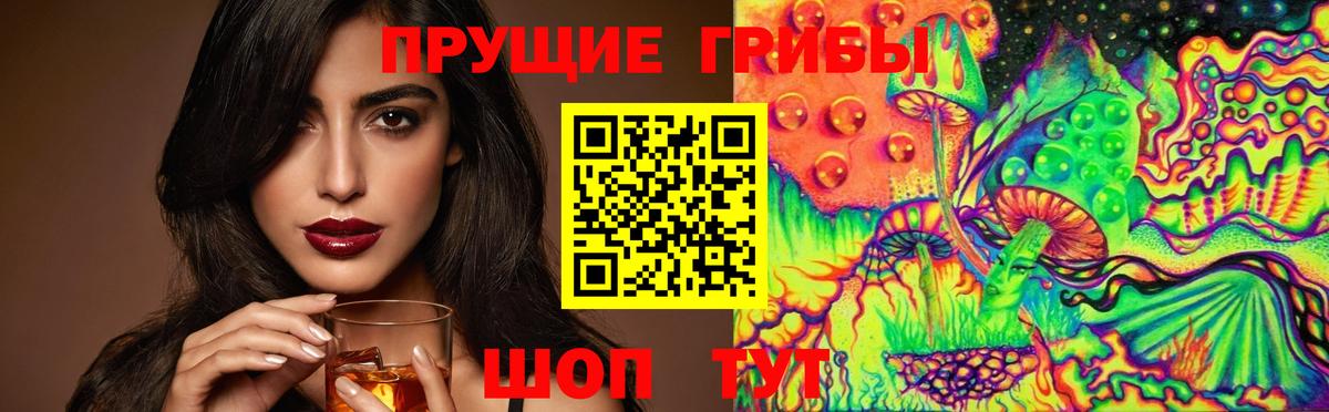 Кириши  Галлюциногенные грибы Psilocybine cubensis  Вход с VPN 